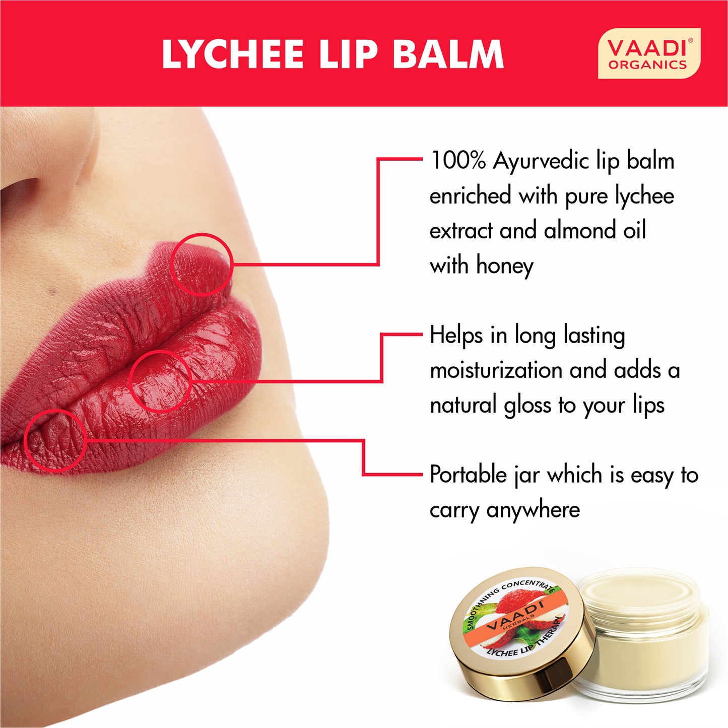 Pack of 8 Lip Balm - Lychee (6 gms x 8)