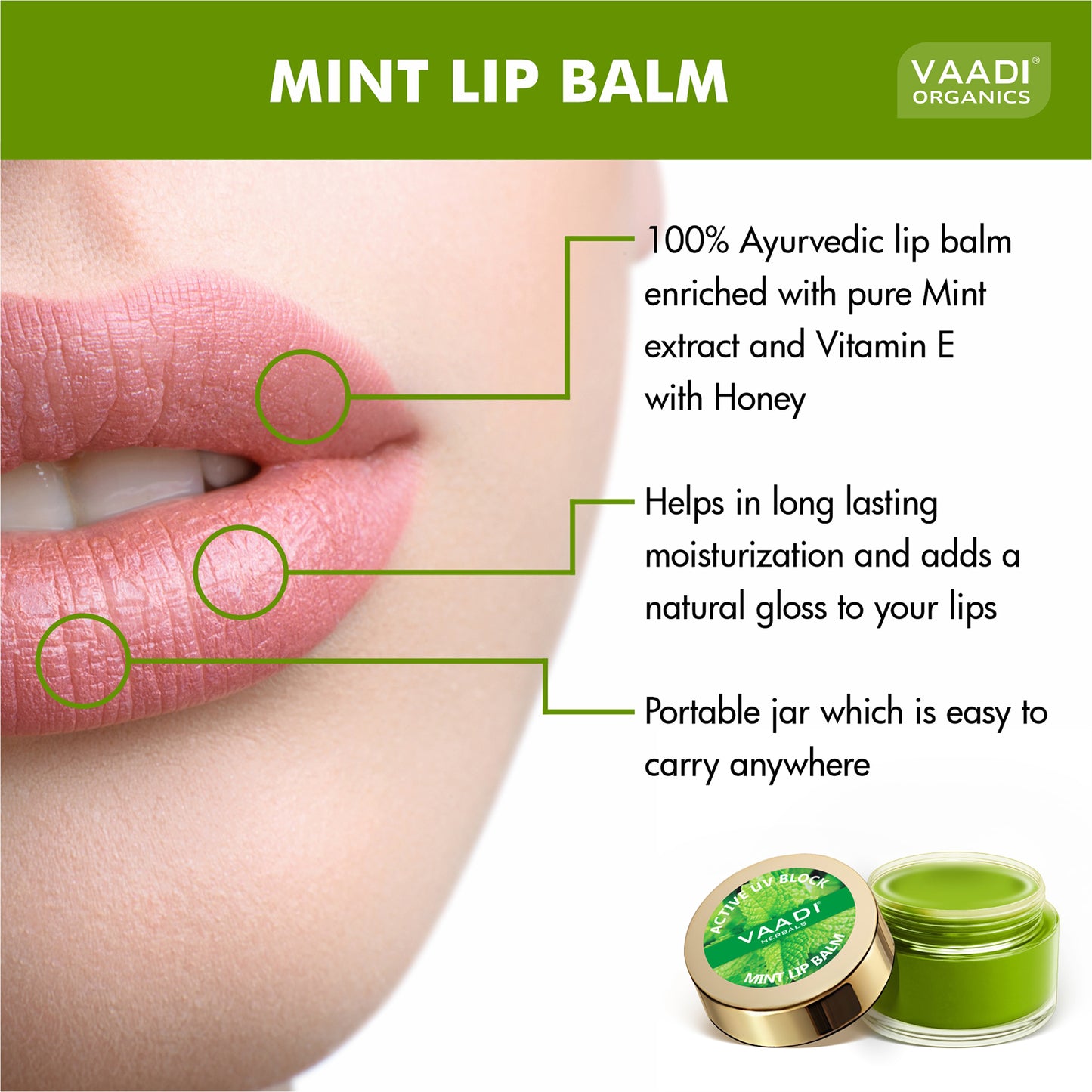 Pack of 8 Lip Balm - Mint (6 gms x 8)