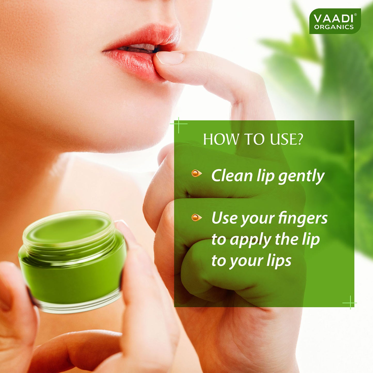 Pack of 8 Lip Balm - Mint (6 gms x 8)