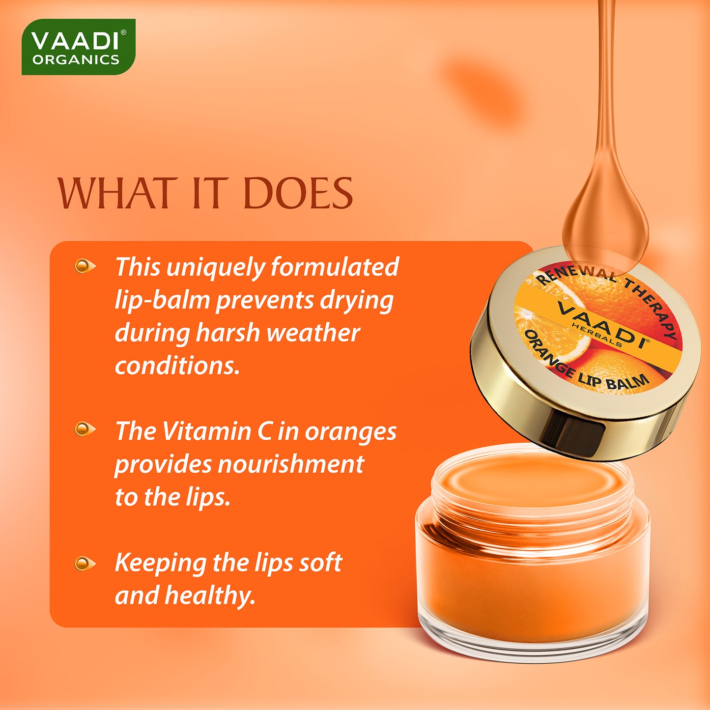 Pack of 8 Lip Balm - Orange & Shea Butter (6 gms x 8)
