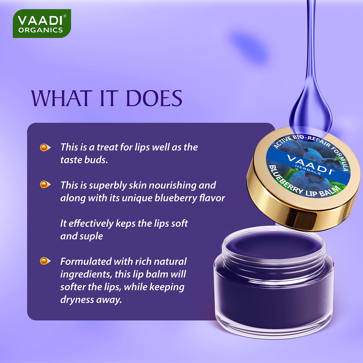 Lip Balm - Blueberry (6 gms)