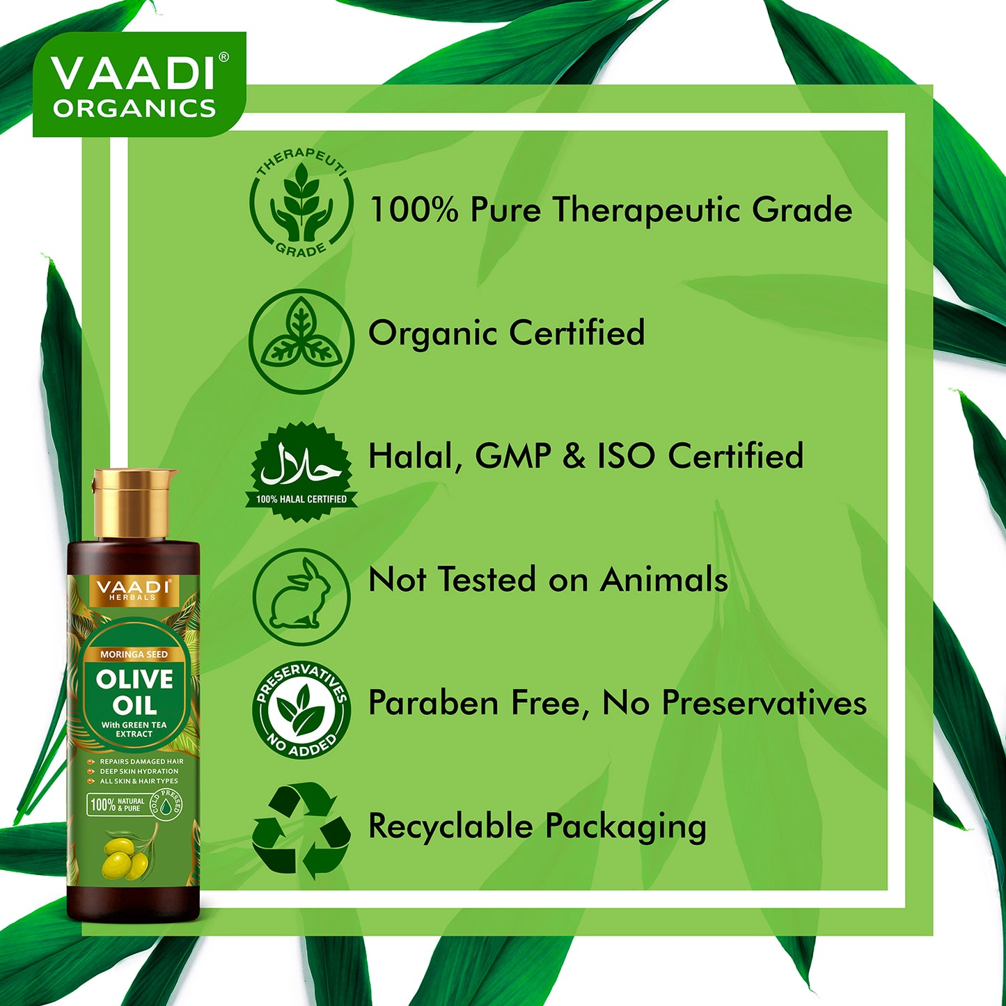 Cold Pressed Moringa Seed Olive Oil with Green Tea Extract- Repairs Damaged Hair-Deep Moisturisation -Skin Hydrating-Strengthens Hair -For All Types of Skin & Hair-250ml