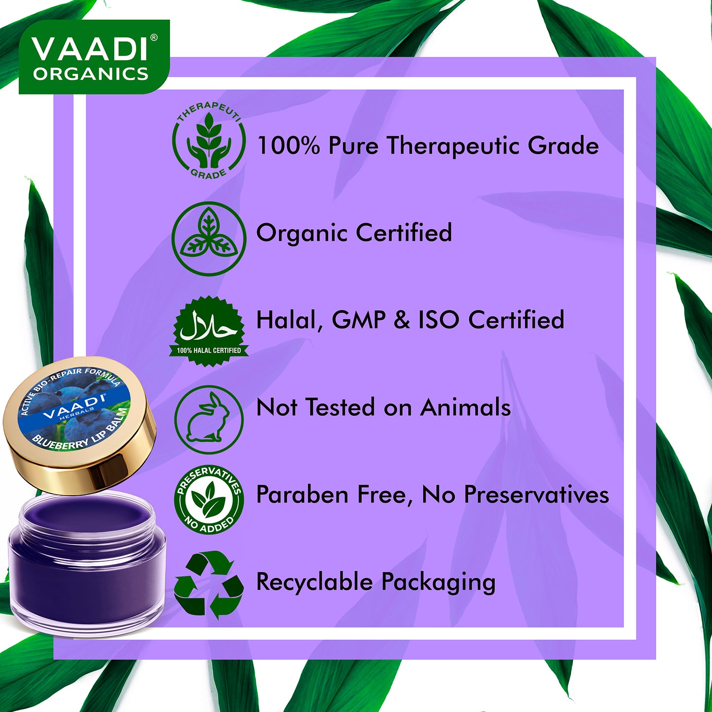 Lip Balm - Blueberry (6 gms)