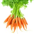 Carrot