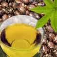 Castor Oil
