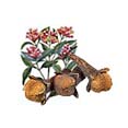 Clove Oil