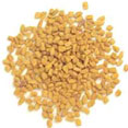 Fenugreek