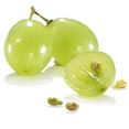 Grape Seed Extract