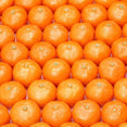 Mandarin Extract