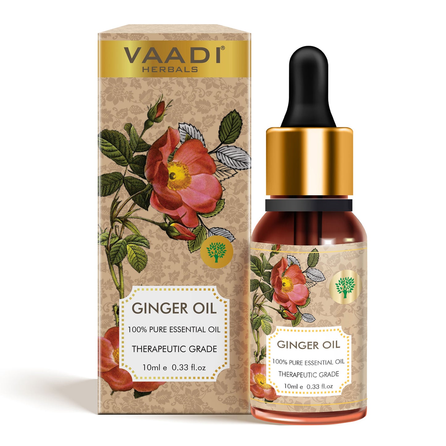 Ginger Essential Oil - Tones Skin, Prevents Hairfall, Soothing Woody Aroma - 100% Pure Therapeutic Grade (10 ml)