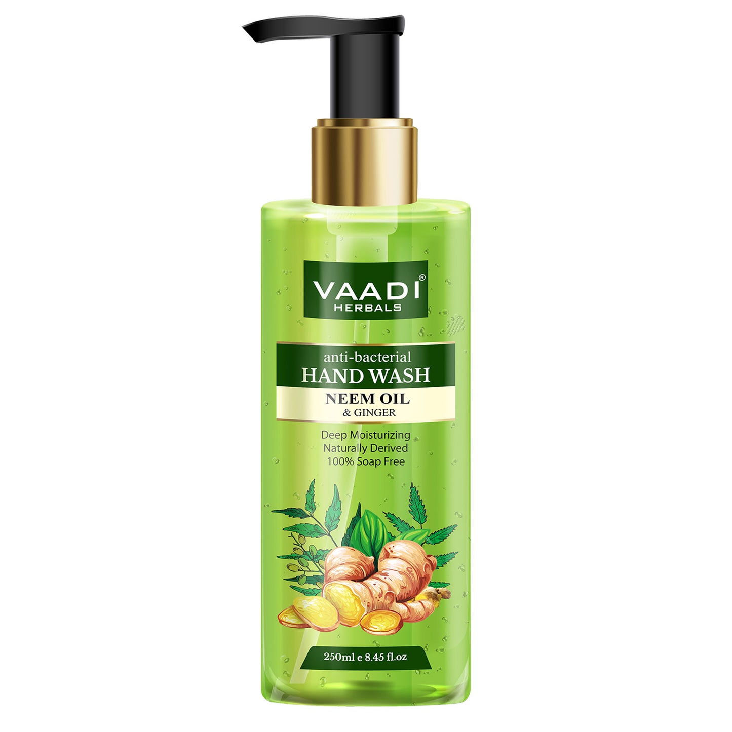 Anti-Bacterial Neem Oil & Ginger Hand Wash (250 ml)