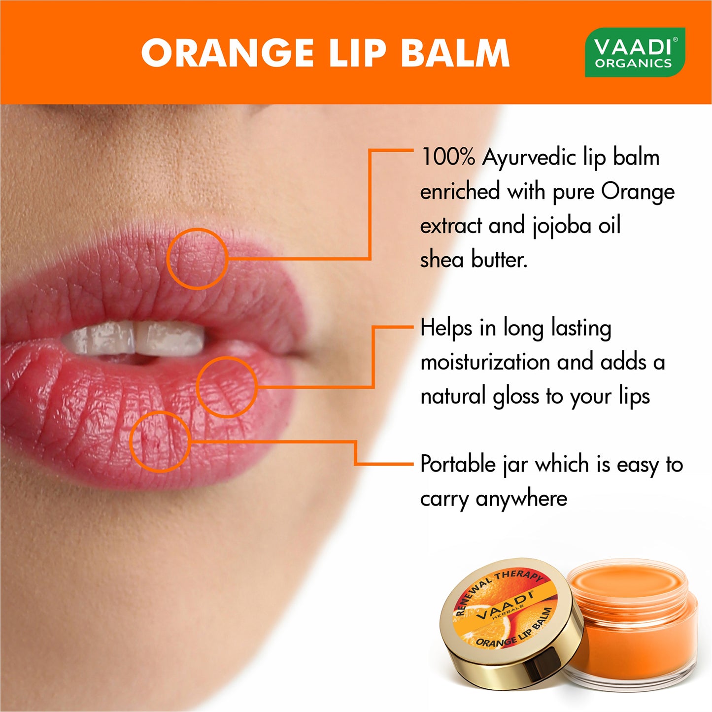 Pack of 4 Lip Balm - Orange & Shea Butter (6 gms x 4)