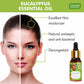 Eucalyptus Essential Oil - Prevents Hairfall, Acne, Soothing & Cool Fragrance - 100% Pure Therapeutic Grade (10 ml)