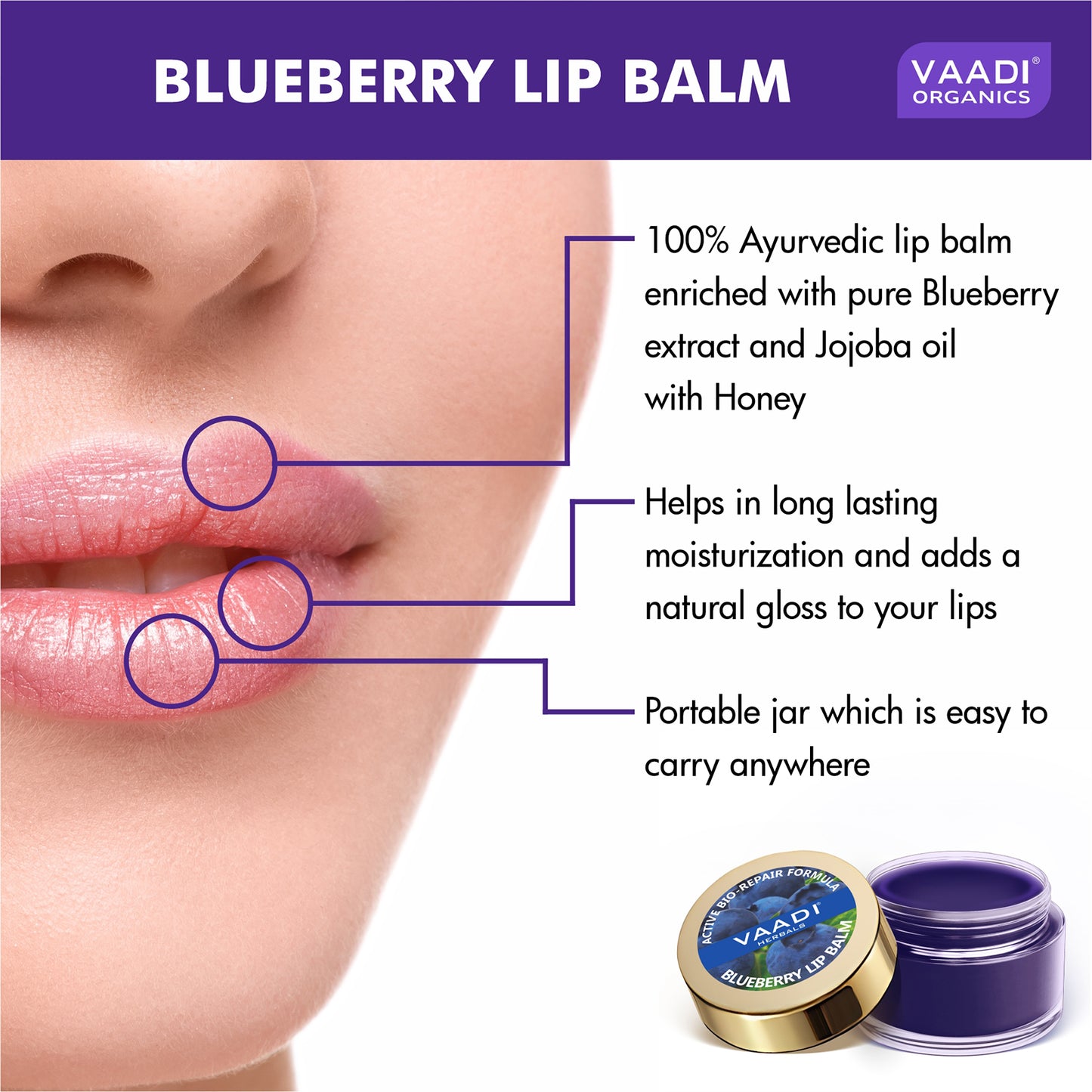 Pack of 4 Lip Balm - Blueberry (6 gms x 4)
