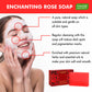 Pack of 6 Enchanting Rose Soap with Mulberry Extractl (75 gms x 6)