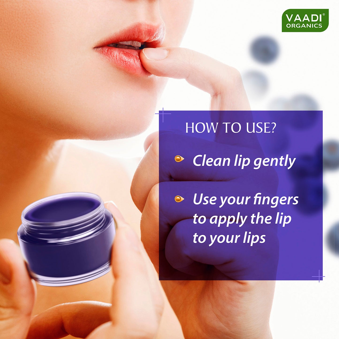 Pack of 4 Lip Balm - Blueberry (6 gms x 4)
