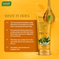 Sunscreen Lotion SPF-50 with Aloe Vera & Chamomile (110 ml)