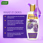 Lavender Shampoo with Corn Rose Conditioner ( 350 ml x 2)