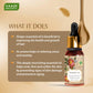 Ginger Essential Oil - Tones Skin, Prevents Hairfall, Soothing Woody Aroma - 100% Pure Therapeutic Grade (10 ml)