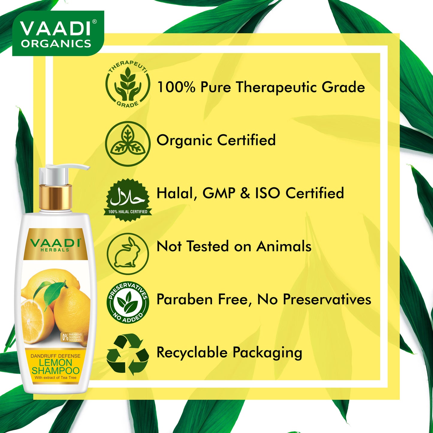 Dandruff Defense Lemon Shampoo with Corn Rose Conditioner ( 350 ml x 2)