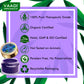 Pack of 4 Lip Balm - Blueberry (6 gms x 4)