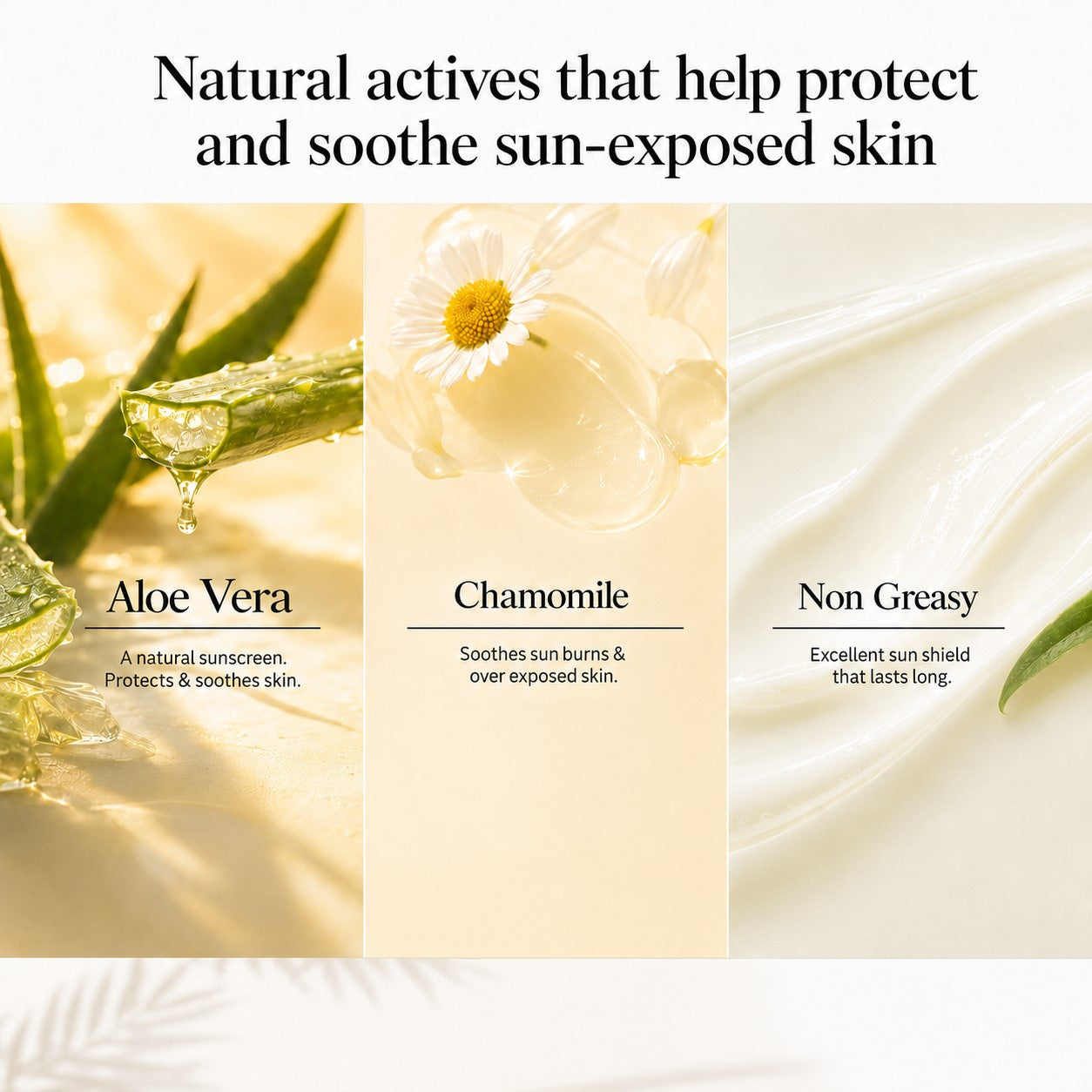 Pack of 3 Sunscreen Lotion SPF-50 with Aloe Vera & Chamomile (110 ml x 3)