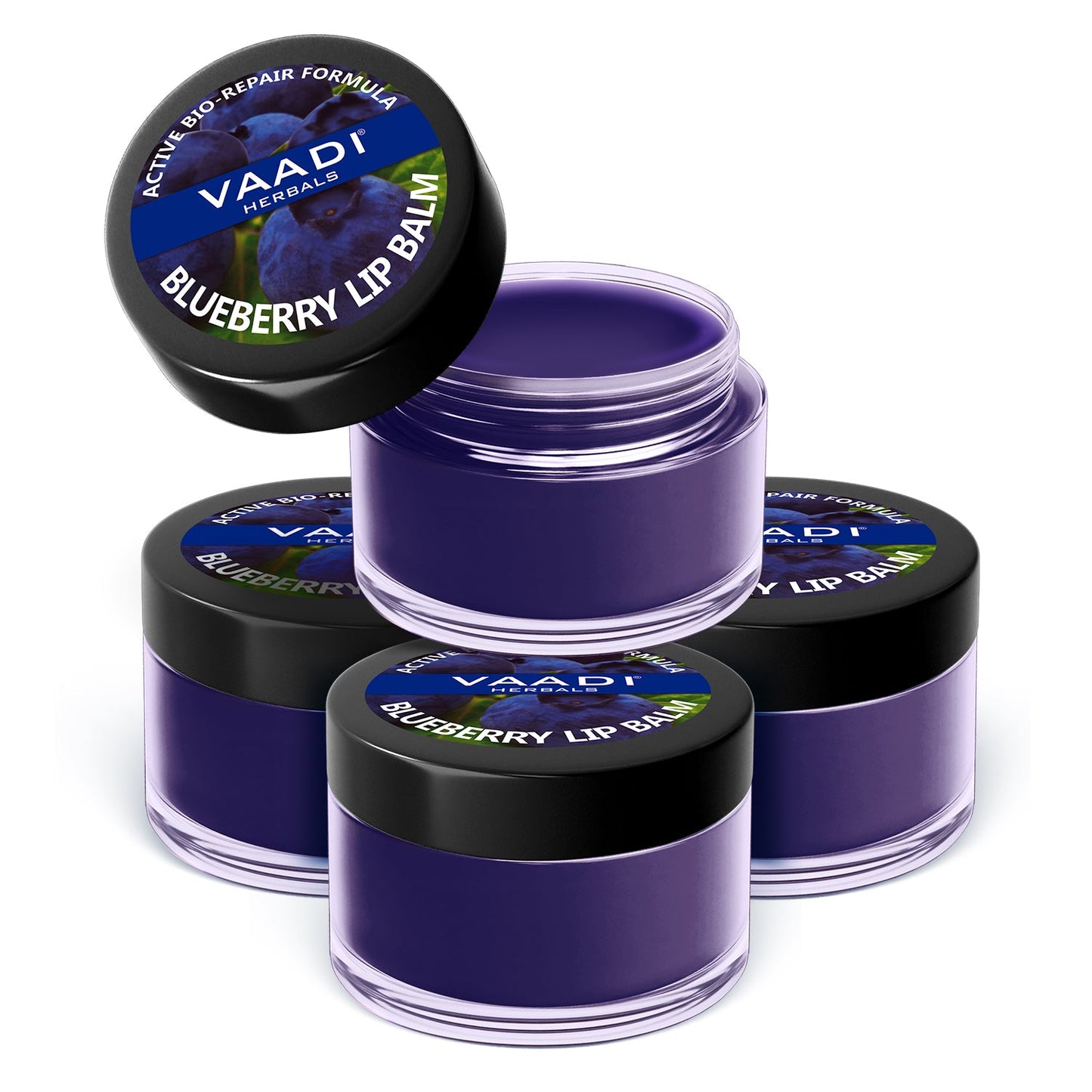 Pack of 4 Lip Balm - Blueberry (6 gms x 4)