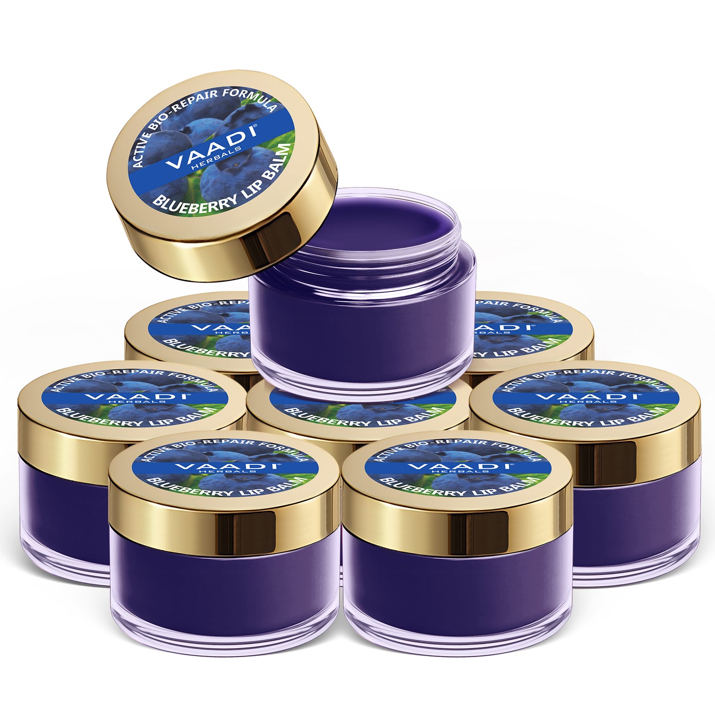 Pack of 8 Lip Balm - Blueberry (6 gms x 8)