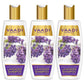 Pack of 3 Lavender Shampoo with Rosemary Extract-Intensive Repair System (350 ml x 3)