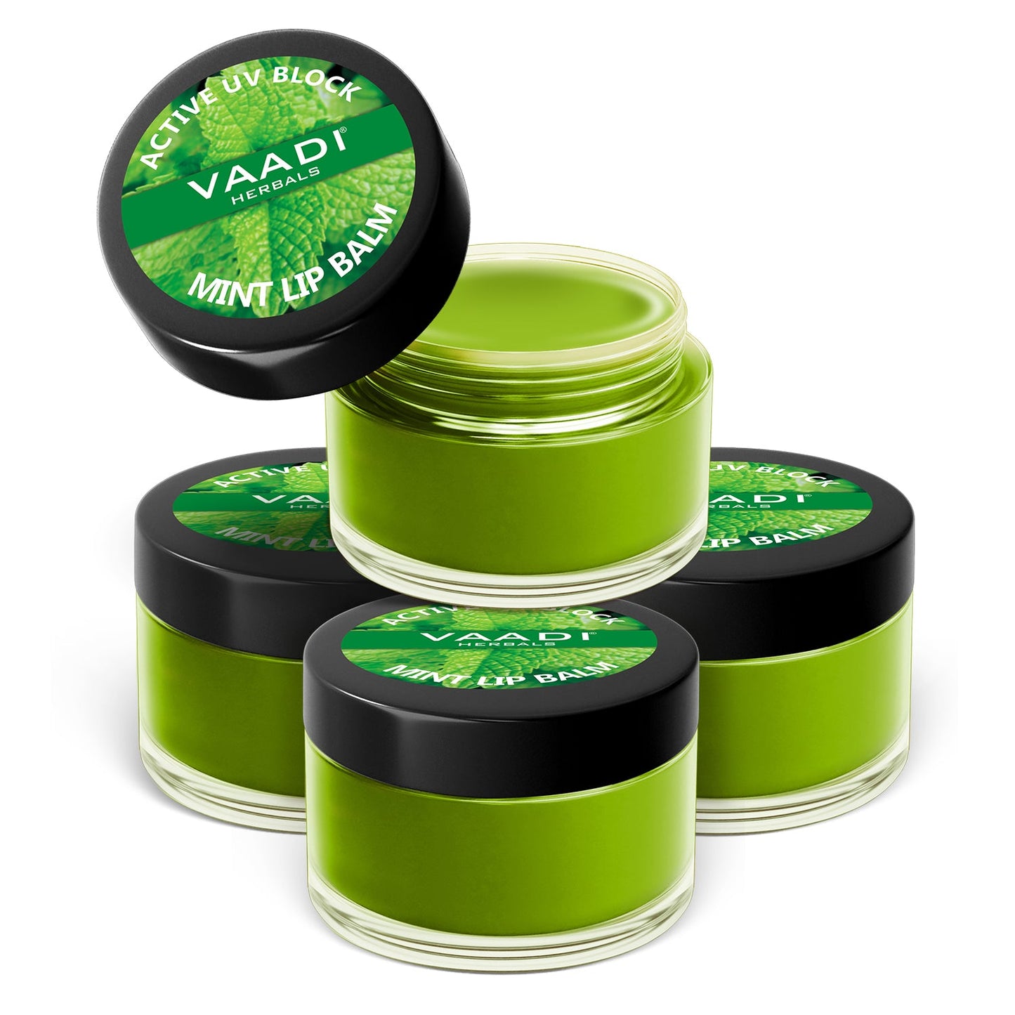 Pack of 4 Lip Balm - Mint (6 gms x 4)