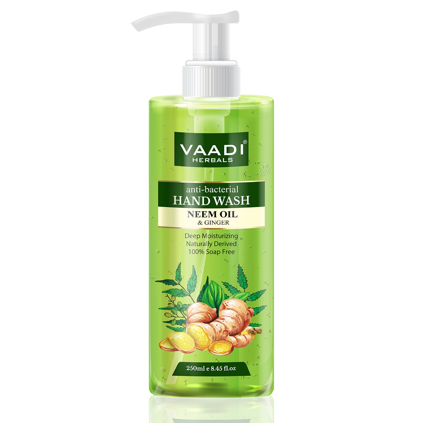 Anti-Bacterial Neem Oil & Ginger Hand Wash (250 ml)