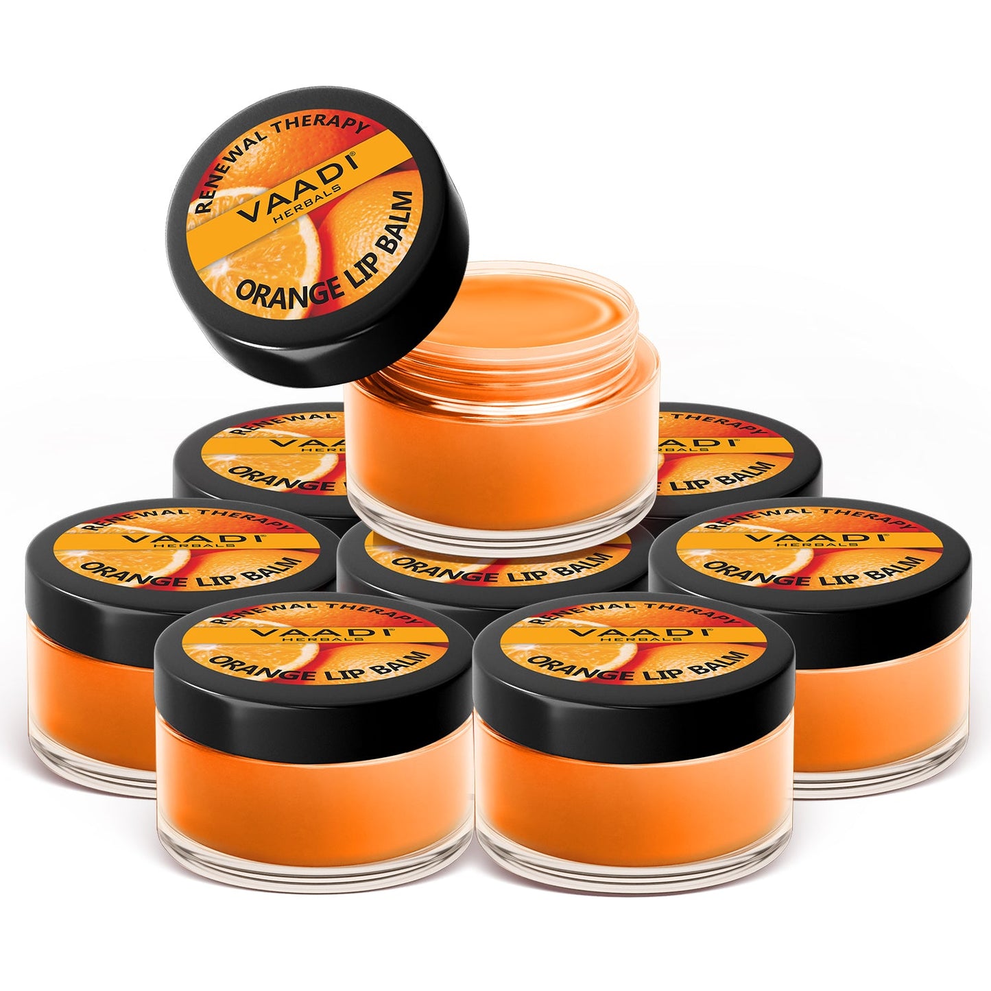 Pack of 8 Lip Balm - Orange & Shea Butter (6 gms x 8)