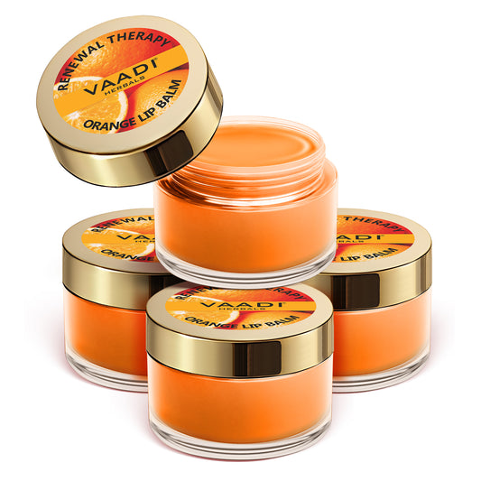 Pack of 4 Lip Balm - Orange & Shea Butter (6 gms x 4)