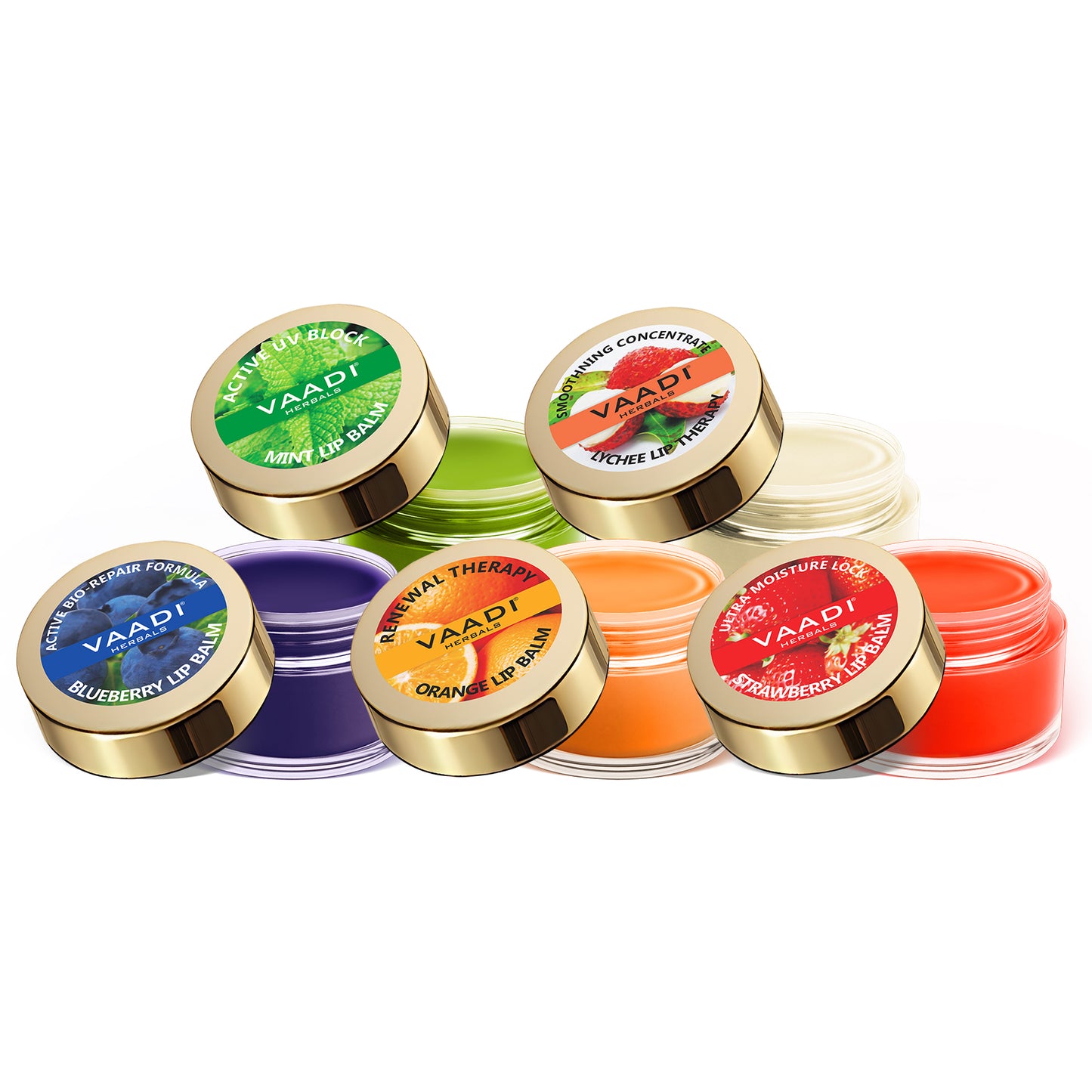 Assorted Pack of 5 Lip Balms (6 gms x 5)