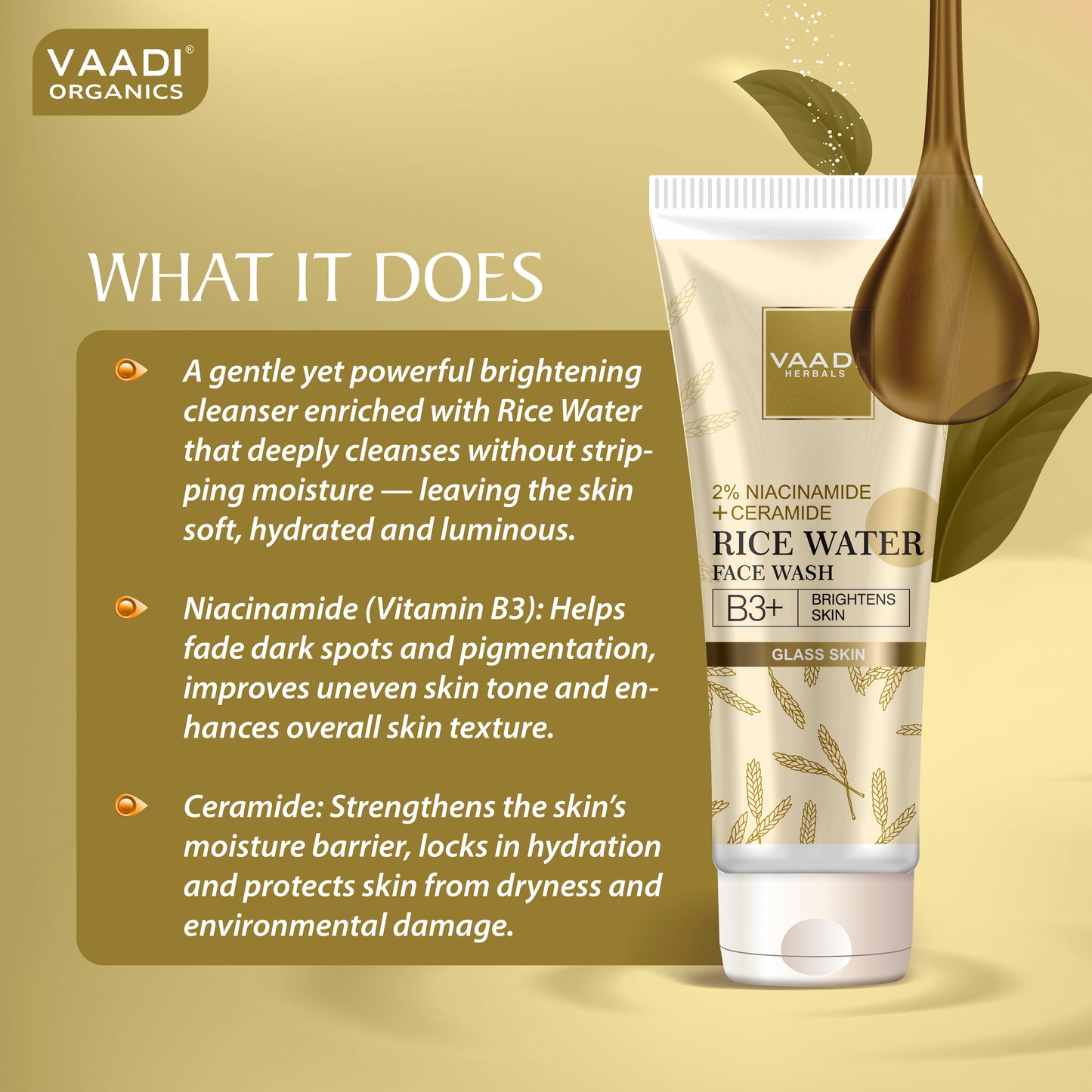 2% Niacinamide + Ceramide Rice Water Face Wash | B3+ | Brightens Skin|Glass Skin Look| Hydrating (60 ml)