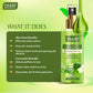 Aloe Vera & Cucumber Mist - 100% Natural Skin Toner (250 ml x 3)