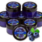 Pack of 8 Lip Balm - Blueberry (6 gms x 8)