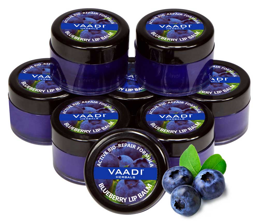 Pack of 8 Lip Balm - Blueberry (6 gms x 8)