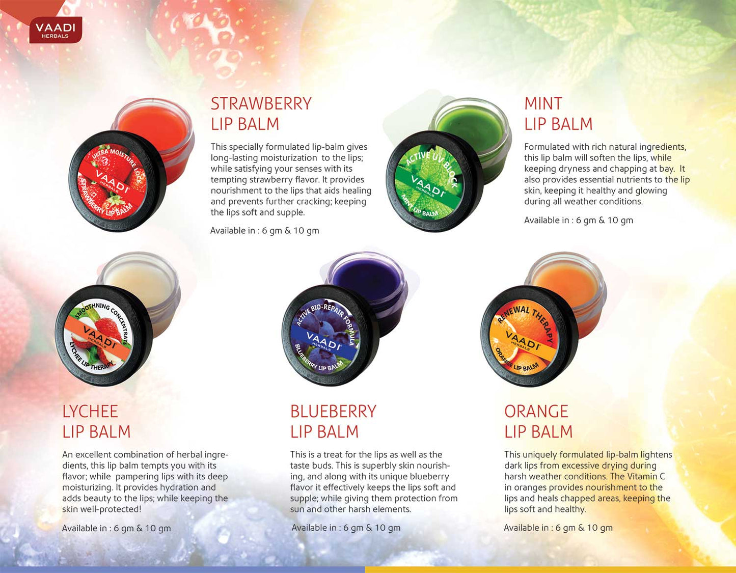 Assorted Pack of 8 Lip Balms (6 gms x 8)