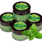 Pack of 4 Lip Balm - Mint (6 gms x 4)