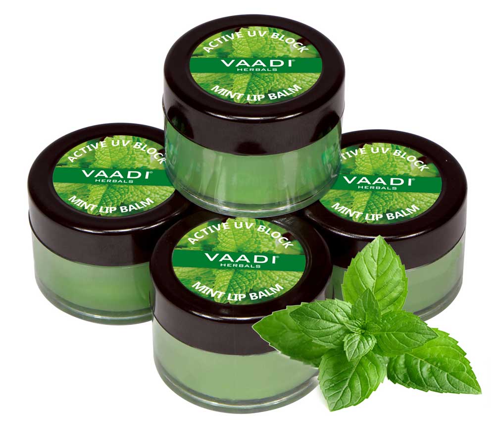 Pack of 4 Lip Balm - Mint (6 gms x 4)