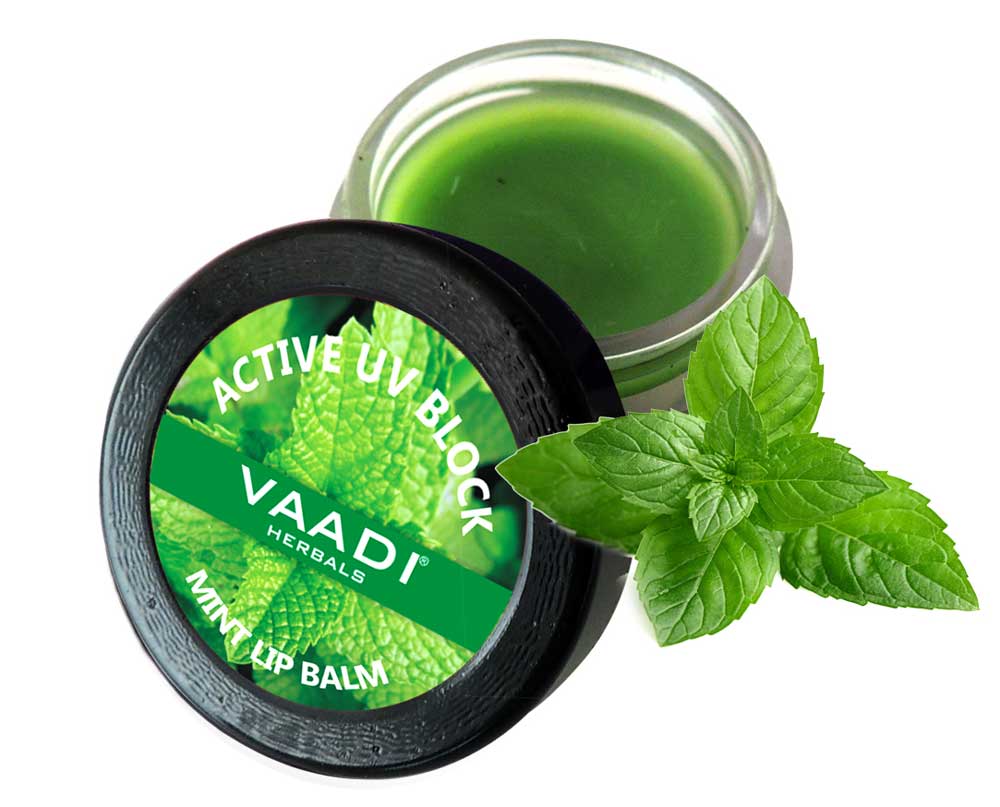 Lip Balm - Mint (6 gms)