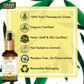 2% Alpha Arbutin Face Serum With Niacinamide & Hyaluronic Acid (30 ml)