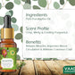 Eucalyptus Essential Oil - Prevents Hairfall, Acne, Soothing & Cool Fragrance - 100% Pure Therapeutic Grade (10 ml)